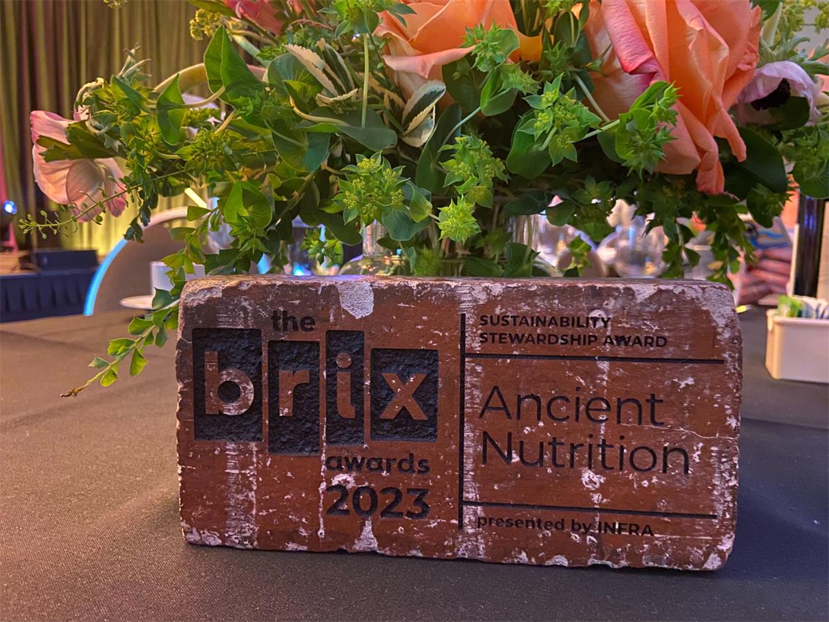 BRIX Award